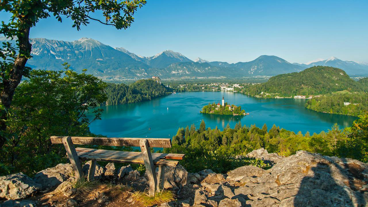 bled